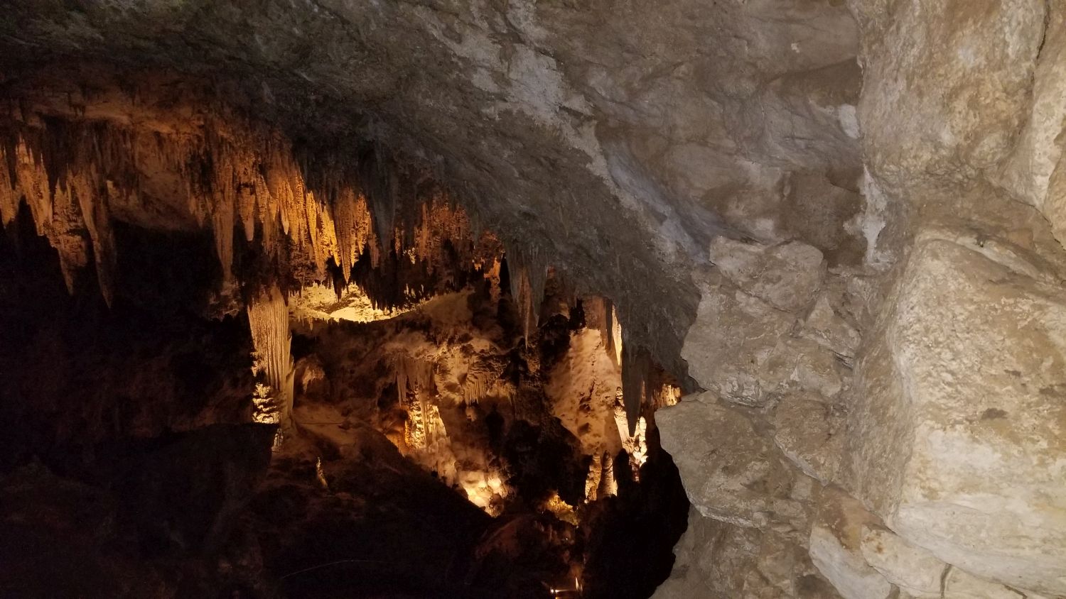 Carlsbad Caverns 